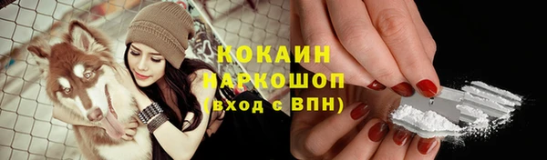 ГАЛЛЮЦИНОГЕННЫЕ ГРИБЫ Абаза