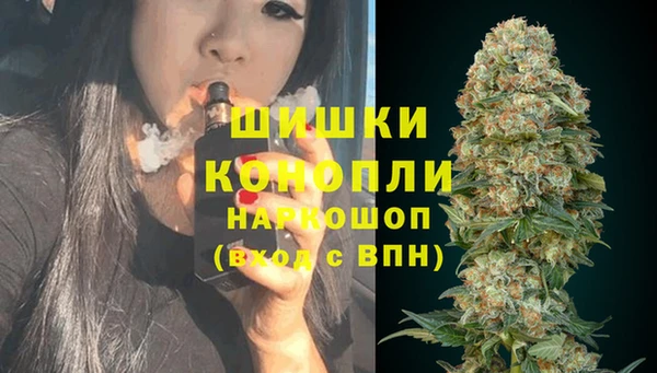 тгк Ростов