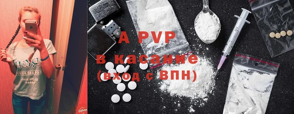 ГАЛЛЮЦИНОГЕННЫЕ ГРИБЫ Абаза