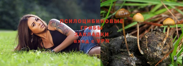 ГАЛЛЮЦИНОГЕННЫЕ ГРИБЫ Абаза