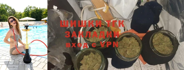 ГАЛЛЮЦИНОГЕННЫЕ ГРИБЫ Абаза